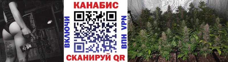 Где найти наркотики Белая Холуница ГАШ  Канабис  Амфетамин  Меф  A PVP 