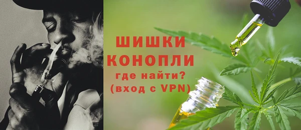 прущие грибы Арсеньев