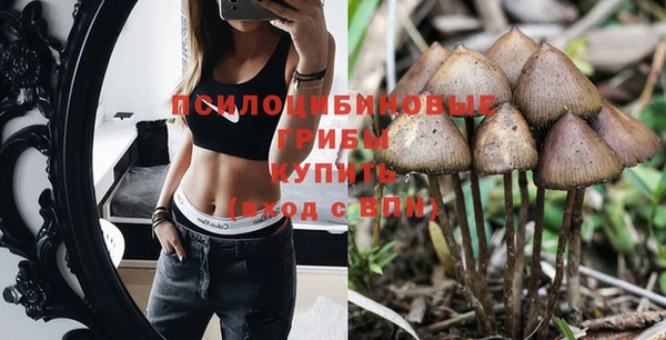 мет Баксан