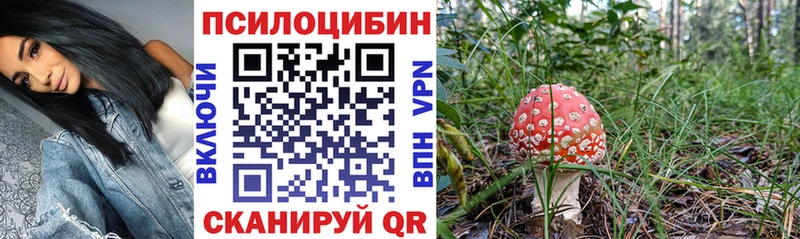 Псилоцибиновые грибы Psilocybine cubensis  закладка  гидра ССЫЛКА  Белая Холуница 
