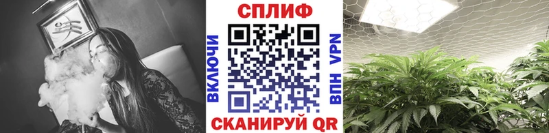 Шишки марихуана Ganja  Белая Холуница 